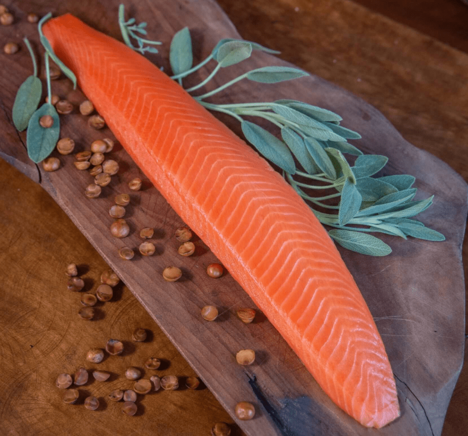 Exportaciones de salmón chileno rozan los US$ 4.000 millones en el primer semestre de&nbsp;2026