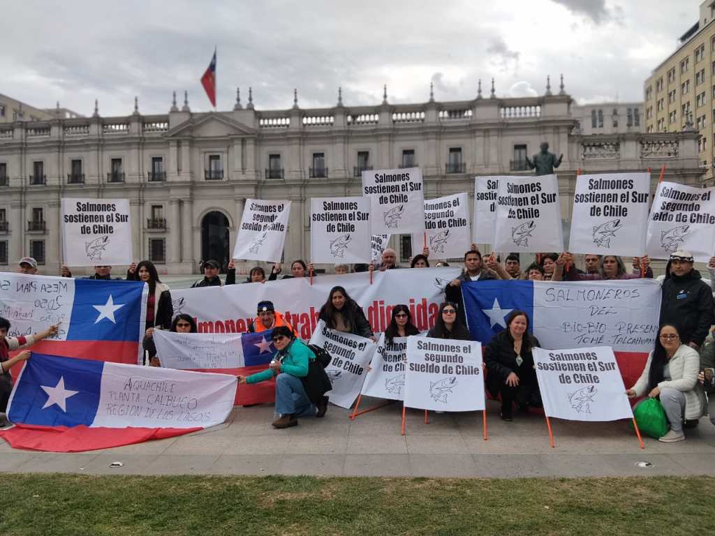 «El segundo sueldo de Chile»: La industria del salmón defiende en el TC la relocalización&nbsp;simplificada