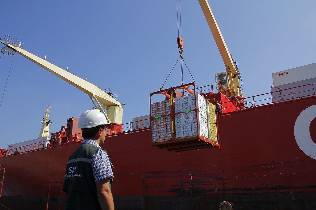 Chile abre una nueva vía para acelerar sus exportaciones de fruta a&nbsp;China